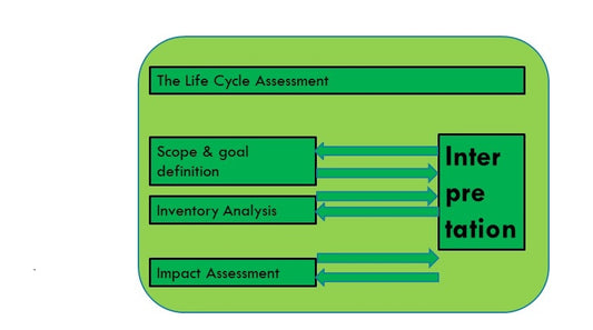 Unveiling Environmental Accountability: The Role of Life Cycle Assessment (LCA) in Fashion